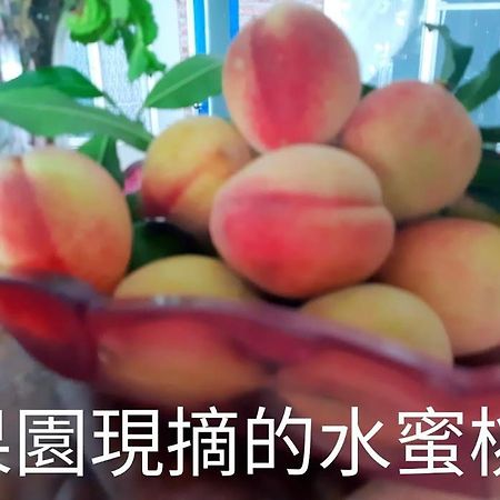 台东霖园海景别庄休闲民宿 东河 外观 照片